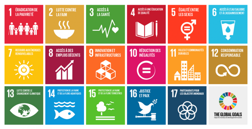 17 objectifs de l'UNESCO, Environnement, Développement Durable, I Walk Green